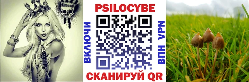 Галлюциногенные грибы Psilocybe  Козьмодемьянск 